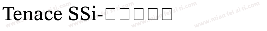 Tenace SSi字体转换